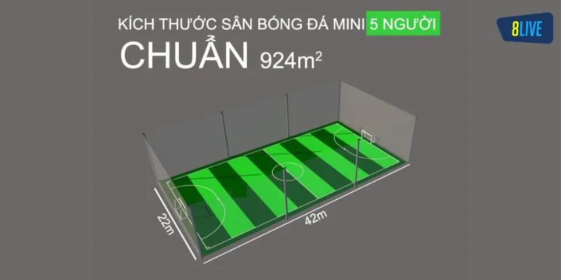 Một Số Tiêu Chuẩn Trong Kích Thước Sân Bóng Đá 5 Người 