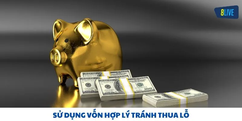 Sử dụng vốn hợp lý tránh thua lỗ