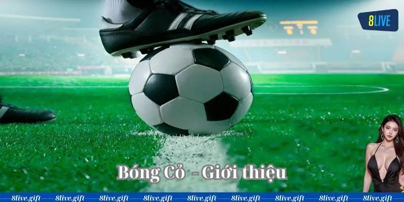 Bóng Cỏ Là Gì?